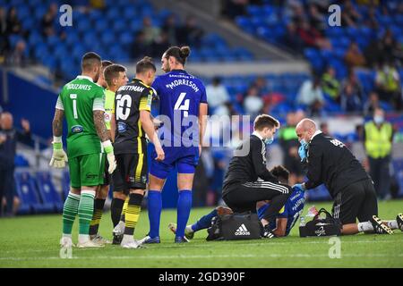 Josh Murphy #11 de Cardiff City reçoit un traitement pendant le match Banque D'Images