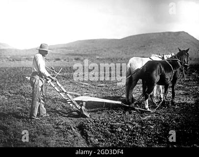 Salt River Project, [Arizona] Sacator Indian Reservation, agriculteur labourant un champ environ entre 1918 et 1928 Banque D'Images