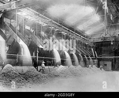 Livraison de Bagasse à la cheminée. Moulin à sucre brut. Îles hawaïennes environ entre 1910 et 1920 Banque D'Images