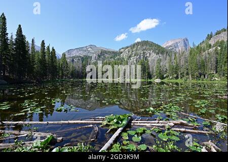 Lac nymphe dans le parc national des montagnes Rocheuses, Colorado, le matin d'été calme et ensoleillé. Banque D'Images