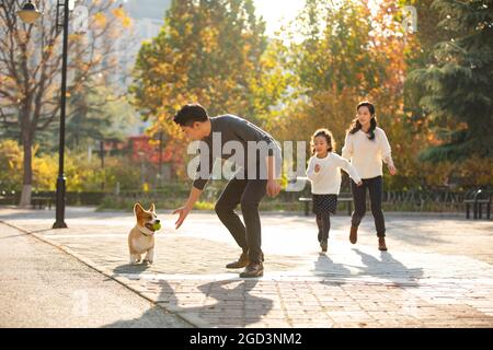 Bonne famille et chien dans le parc Banque D'Images