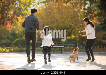 Bonne famille et chien dans le parc Banque D'Images