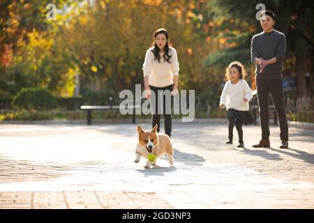 Bonne famille et chien dans le parc Banque D'Images