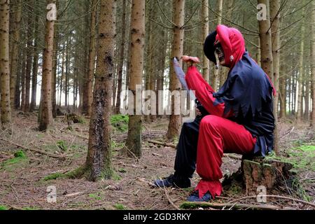 Halloween vacances.effrayant harlequin. Méchant jester dans la forêt brumeuse d'automne.Evil effrayant jester costume et masque de crâne.peur et horreur. Clown créepy dans Banque D'Images