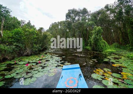 Belle fleur de lotus dans le lac long une province sud du Vietnam Banque D'Images