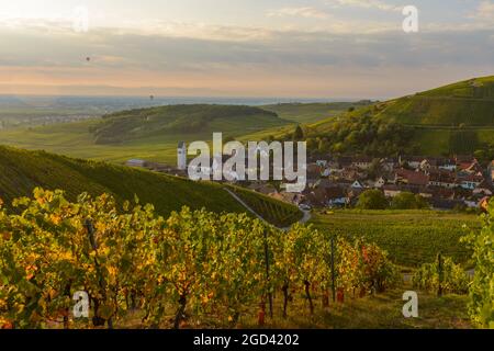 FRANCE, HAUT-RHIN (68), KATZENTHAL, VIGNOBLE ET VILLAGE DE KATZENTHAL EN AUTOMNE Banque D'Images