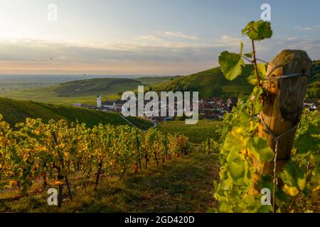 FRANCE, HAUT-RHIN (68), KATZENTHAL, VIGNOBLE ET VILLAGE DE KATZENTHAL EN AUTOMNE Banque D'Images