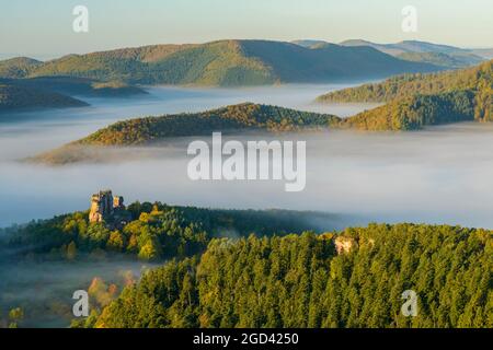 FRANCE, BAS-RHIN (67), PARC NATUREL RÉGIONAL DES VOSGES DU NORD, LEMBACH, CHÂTEAU DE FLECKENSTEIN ENTOURÉ DE BROUILLARD D'AUTOMNE Banque D'Images