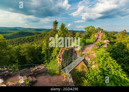 FRANCE, MOSELLE (57), PARC NATUREL RÉGIONAL DES VOSGES DU NORD, PHILIPPSBOURG, CHÂTEAU DE FALKENSTEIN Banque D'Images