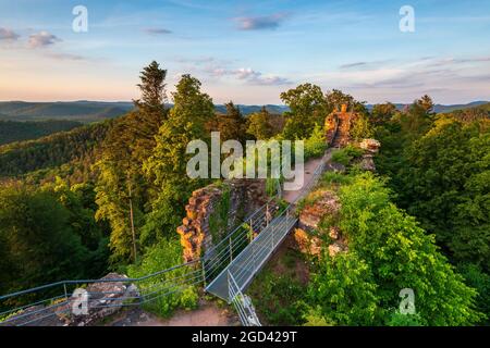 FRANCE, MOSELLE (57), PARC NATUREL RÉGIONAL DES VOSGES DU NORD, PHILIPPSBOURG, CHÂTEAU DE FALKENSTEIN Banque D'Images