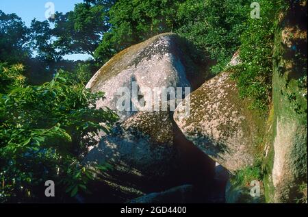 FINISTÈRE (29) BRETAGNE, HUELGOAT, RÉSERVE NATURELLE RÉGIONALE D'ARMORICA, GRANITE ROCHER DANS LA FORÊT, FRANCE Banque D'Images