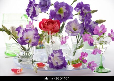 botanique, rose, Eustoma grandiflorum et géranium dans des vases en verre, DROITS-SUPPLÉMENTAIRES-AUTORISATION-INFO-NON-DISPONIBLE Banque D'Images