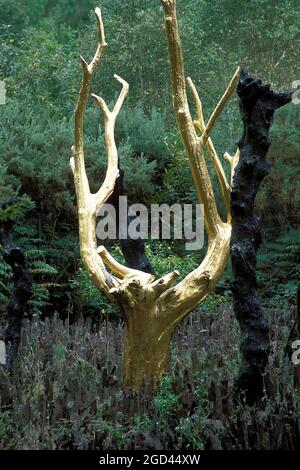 FRANCE, MORBIHAN(56), CAMPENEAC, FORÊT DE PAIMONT, VAL SANS RETOUR OU VAL DES AMANFAUX EST UN SITE WELLKNOWNED DE LA FORÊT DE BROCELIANDE Banque D'Images