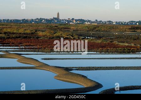 FRANCE, LOIRE ATLANTIQUE(44), PÉNINSULE DE GUÉRANDE, MARAIS SALANTS, EN ARRIÈRE-PLAN LE VILLAGE DE BATZ SUR MER, BRETAGNE Banque D'Images