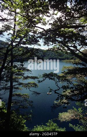 FRANCE. PUY DE DOME (63) LE LAC PAVIN DANS LE PARC NATUREL RÉGIONAL DES VOLCANS D'AUVERGNE AVEC EN ARRIÈRE-PLAN LES MONTAGNES DE DORE, C'EST UN VOLCAN Banque D'Images