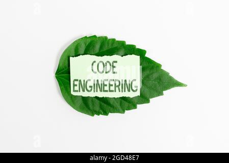 Légende conceptuelle Code Engineering. Aperçu de l'entreprise application de l'ingénierie au développement de logiciels économies d'idées et de plans d'environnement Banque D'Images