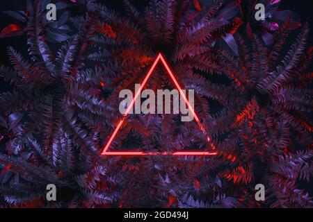 rendu 3d de la lumière de néon triangle rouge avec des feuilles de fougères. Une couche plate de style tropical minimaliste Banque D'Images