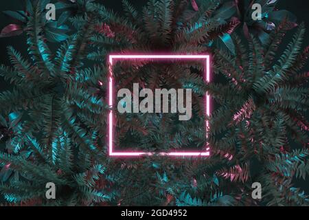 rendu 3d de la lumière néon carrée rose avec des feuilles de fougères. Une couche plate de style tropical minimaliste Banque D'Images