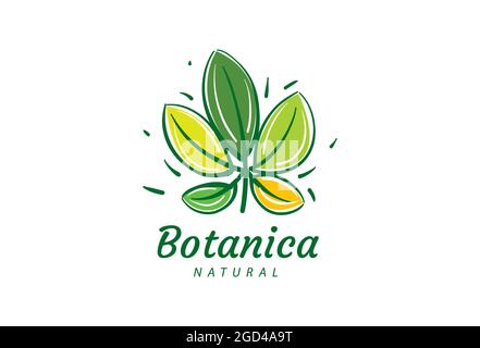 Logo avec inscription Botanica et feuilles peintes Illustration de Vecteur