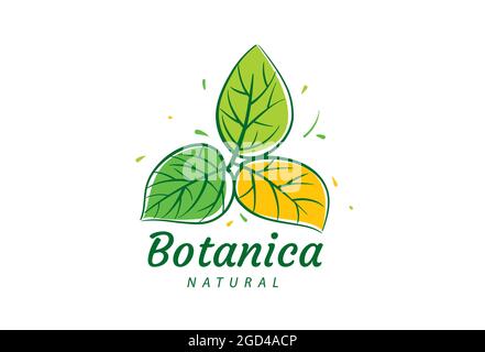 Logo avec inscription Botanica et feuilles peintes Illustration de Vecteur