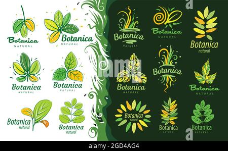 Un ensemble de logos avec l'inscription Botanica et des feuilles peintes Illustration de Vecteur