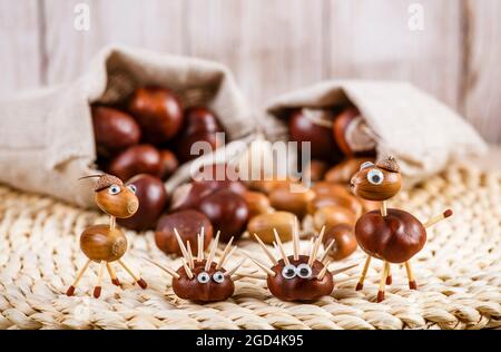 En utilisant des châtaignes de chevaux et des acorns de chêne de fruits d'automne pour faire des animaux amusants, hérisson, cheval. Sacs en matières textiles rustiques, glands et châtaignes. Un automne amusant. Banque D'Images