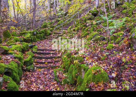 Sentier nature avec rochers couverts de mousse et escaliers dans une forêt Banque D'Images