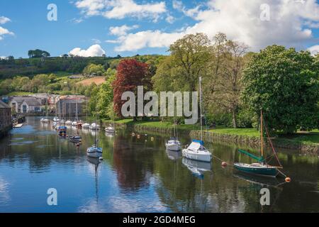 UK River, vue en été des bateaux de loisirs amarrés dans la rivière Dart à Totnes, Devon, South Hams, Angleterre, Royaume-Uni Banque D'Images