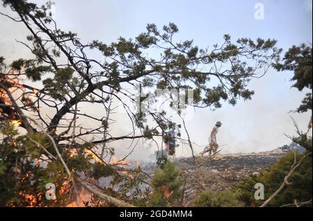 Bizerte, Tunisie. 10 août 2021. Deuxième jour de feu à la montagne d'Ennadhour à Bizerte (60 km au nord de Tunis) . les jeunes habitants de la région tentent de contrôler le feu avec leurs mains pour empêcher le feu de se propager à d'autres zones et pour minimiser les dégâts. Photo: Hasan mrad (Credit image: © Chokri Mahjoub/ZUMA Press Wire) Banque D'Images