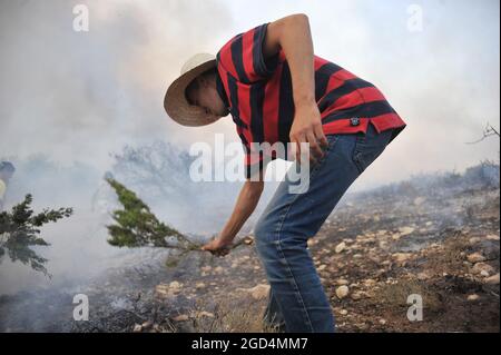 Bizerte, Tunisie. 10 août 2021. Deuxième jour de feu à la montagne d'Ennadhour à Bizerte (60 km au nord de Tunis) . les jeunes habitants de la région tentent de contrôler le feu avec leurs mains pour empêcher le feu de se propager à d'autres zones et pour minimiser les dégâts. Photo: Hasan mrad (Credit image: © Chokri Mahjoub/ZUMA Press Wire) Banque D'Images