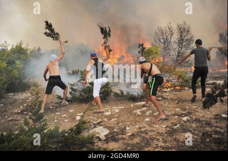 Bizerte, Tunisie. 10 août 2021. Deuxième jour de feu à la montagne d'Ennadhour à Bizerte (60 km au nord de Tunis) . les jeunes habitants de la région tentent de contrôler le feu avec leurs mains pour empêcher le feu de se propager à d'autres zones et pour minimiser les dégâts. Photo: Hasan mrad (Credit image: © Chokri Mahjoub/ZUMA Press Wire) Banque D'Images