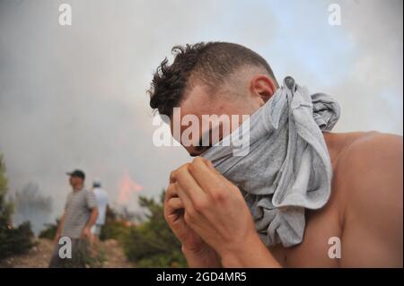 Bizerte, Tunisie. 10 août 2021. Deuxième jour de feu à la montagne d'Ennadhour à Bizerte (60 km au nord de Tunis) . les jeunes habitants de la région tentent de contrôler le feu avec leurs mains pour empêcher le feu de se propager à d'autres zones et pour minimiser les dégâts. Photo: Hasan mrad (Credit image: © Chokri Mahjoub/ZUMA Press Wire) Banque D'Images