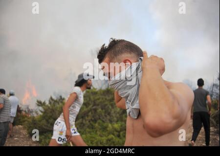 Bizerte, Tunisie. 10 août 2021. Deuxième jour de feu à la montagne d'Ennadhour à Bizerte (60 km au nord de Tunis) . les jeunes habitants de la région tentent de contrôler le feu avec leurs mains pour empêcher le feu de se propager à d'autres zones et pour minimiser les dégâts. Photo: Hasan mrad (Credit image: © Chokri Mahjoub/ZUMA Press Wire) Banque D'Images