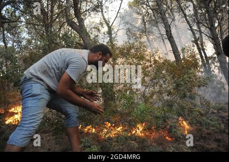 Bizerte, Tunisie. 10 août 2021. Deuxième jour de feu à la montagne d'Ennadhour à Bizerte (60 km au nord de Tunis) . les jeunes habitants de la région tentent de contrôler le feu avec leurs mains pour empêcher le feu de se propager à d'autres zones et pour minimiser les dégâts. Photo: Hasan mrad (Credit image: © Chokri Mahjoub/ZUMA Press Wire) Banque D'Images