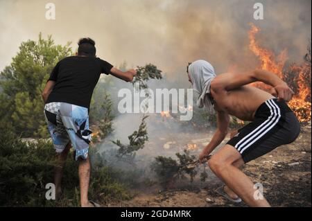 Bizerte, Tunisie. 10 août 2021. Deuxième jour de feu à la montagne d'Ennadhour à Bizerte (60 km au nord de Tunis) . les jeunes habitants de la région tentent de contrôler le feu avec leurs mains pour empêcher le feu de se propager à d'autres zones et pour minimiser les dégâts. Photo: Hasan mrad (Credit image: © Chokri Mahjoub/ZUMA Press Wire) Banque D'Images