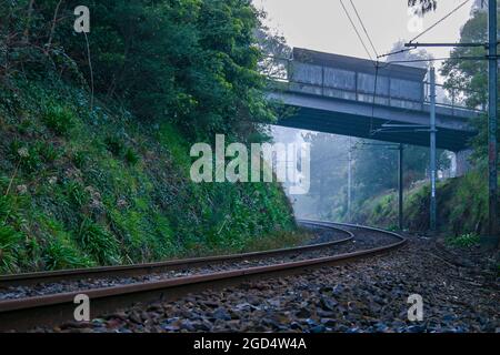 Des pistes de train solitaire disparaissent sous un pont et dans un paysage brumeux le matin Banque D'Images