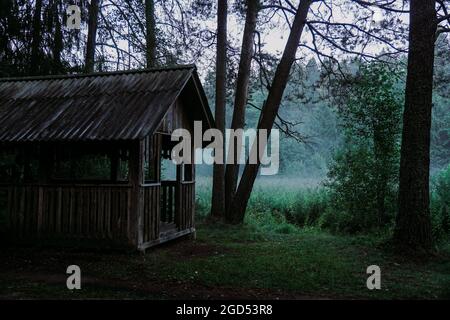Un vieux belvédère en bois dans une forêt verte. Brouillard sur le marais en arrière-plan. Atmosphère d'horreur et de forêt sombre Banque D'Images