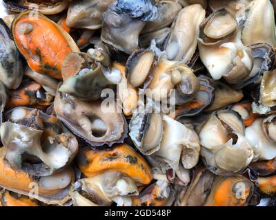 Vue en gros plan de la viande de moules fraîche congelée Banque D'Images