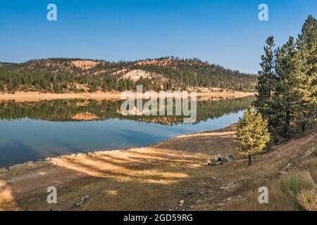 Tropic Reservoir, plateau de Paunsaugunt, forêt nationale de Dixie, près de Bryce Canyon, Utah, ÉTATS-UNIS Banque D'Images