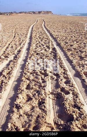 Des traces de pneu dans une dune de sable Banque D'Images