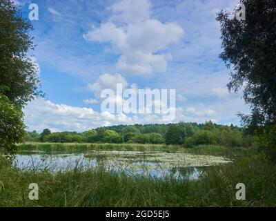 Un large éventail de campagne britannique, avec de longues herbes, un lac et une colline boisée encadrée par des arbres de premier plan, le tout sous un ciel bleu en partie nuageux d'été. Banque D'Images