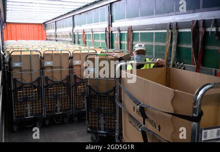 11 août 2021, Brandebourg, Stahnsdorf : un employé décharge les boîtes de transport du nouveau trieur multiformat du centre courrier de Deutsche Post depuis un camion. Depuis 25 ans, Deutsche Post fournit des lettres aux clients de la grande région de Potsdam et des quartiers sud-ouest de Berlin via le centre. En attendant, de moins en moins de lettres sont envoyées, mais d'autant plus de colis et de petits colis. Le système trie également ces colis de petit format avec une épaisseur maximale de dix centimètres et un poids de 2,000 grammes, qui peuvent ensuite être livrés dans le réseau de courrier par TH Banque D'Images