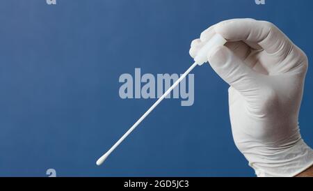 écouvillon buccal dans les mains du médecin ou de l'infirmière avec fond bleu Banque D'Images