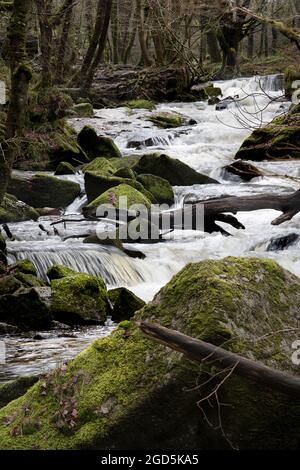 La rivière Fowey passant par Golita tombe Bodmin Moor Banque D'Images