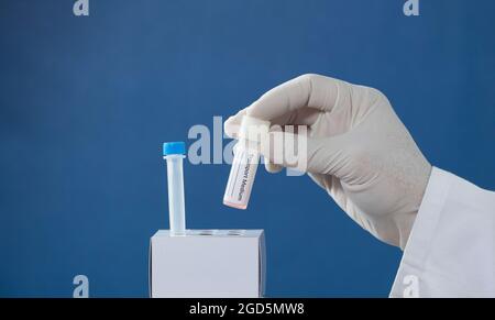 kit pcr coronaviris dans les mains d'un médecin avec des gants chirurgicaux, place les tubes de transport moyens dans un support en carton, fond bleu Banque D'Images