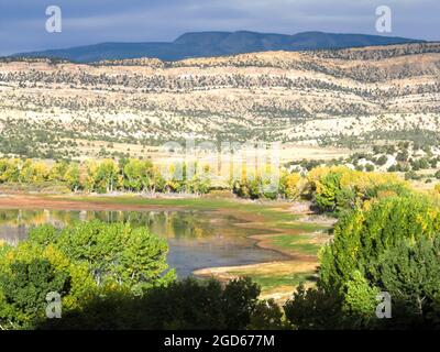 Vue sur le large réservoir Hollow du parc national de la Forêt pétrifiée, Escalante, Utah, États-Unis, bordé par le bois de coton de Frémont dans leur foli d'automne doré Banque D'Images