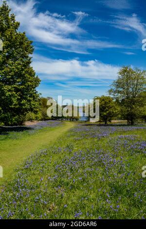 Le réservoir dans la forêt de Fernworthy sur Dartmoor Banque D'Images