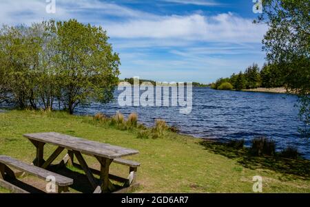 Le réservoir dans la forêt de Fernworthy sur Dartmoor Banque D'Images