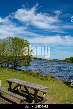 Le réservoir dans la forêt de Fernworthy sur Dartmoor Banque D'Images