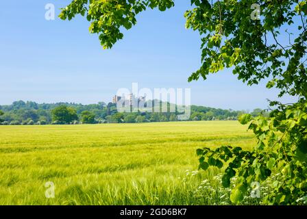 Vue sur le château de Belvoir de l'autre côté des champs de la vallée de Belvoir Grantham Leicestershire Angleterre GB Europe Banque D'Images